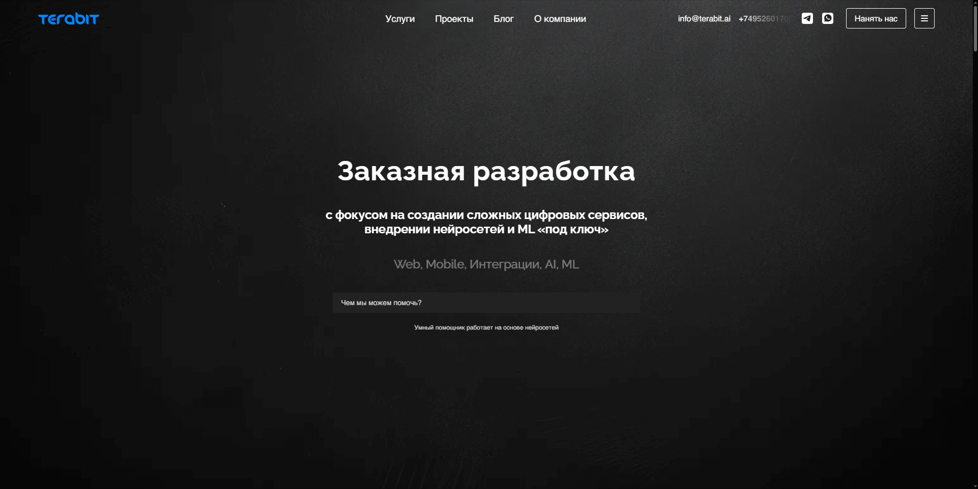 Скриншот первого экрана сайта Terabit Digital